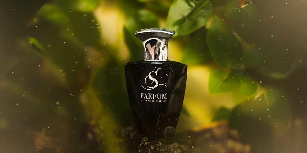 S Parfum & Cosmetics: Uma Jornada Internacional de Excelência em Perfumaria e Cosméticos